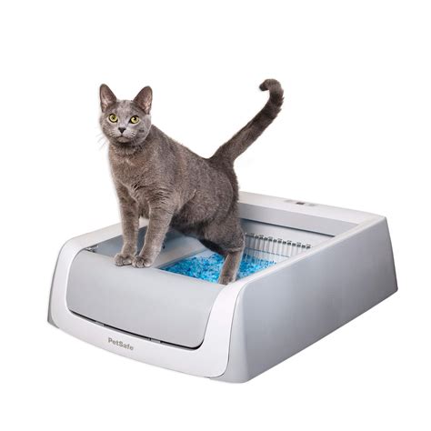 automatic litter box self cleaning.